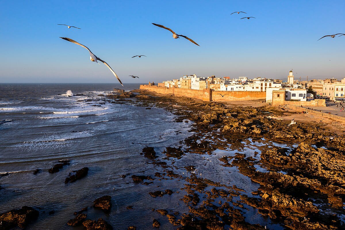 best 1 Day Trip To Essaouira From Marrakech
