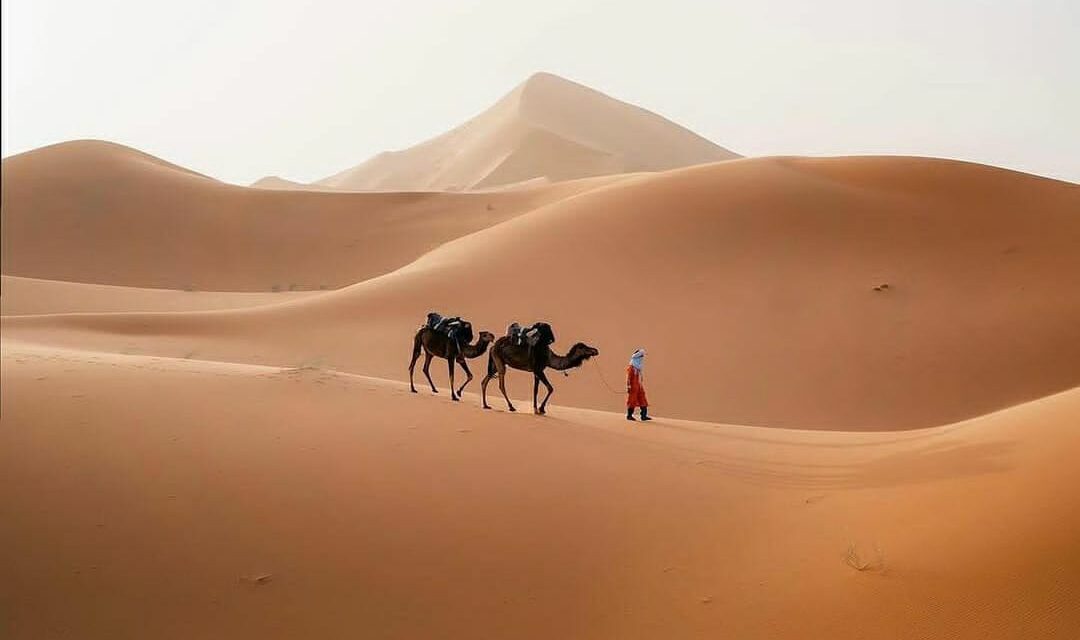 Camel Ride in Sahara Desert